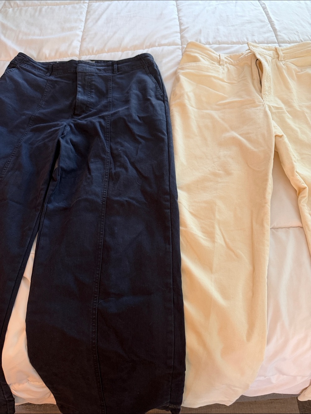 Men's Classic Casual Pants in Navy and Cream